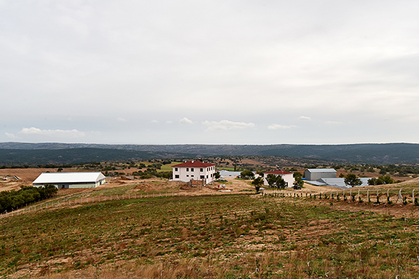 Alemdar Tarım